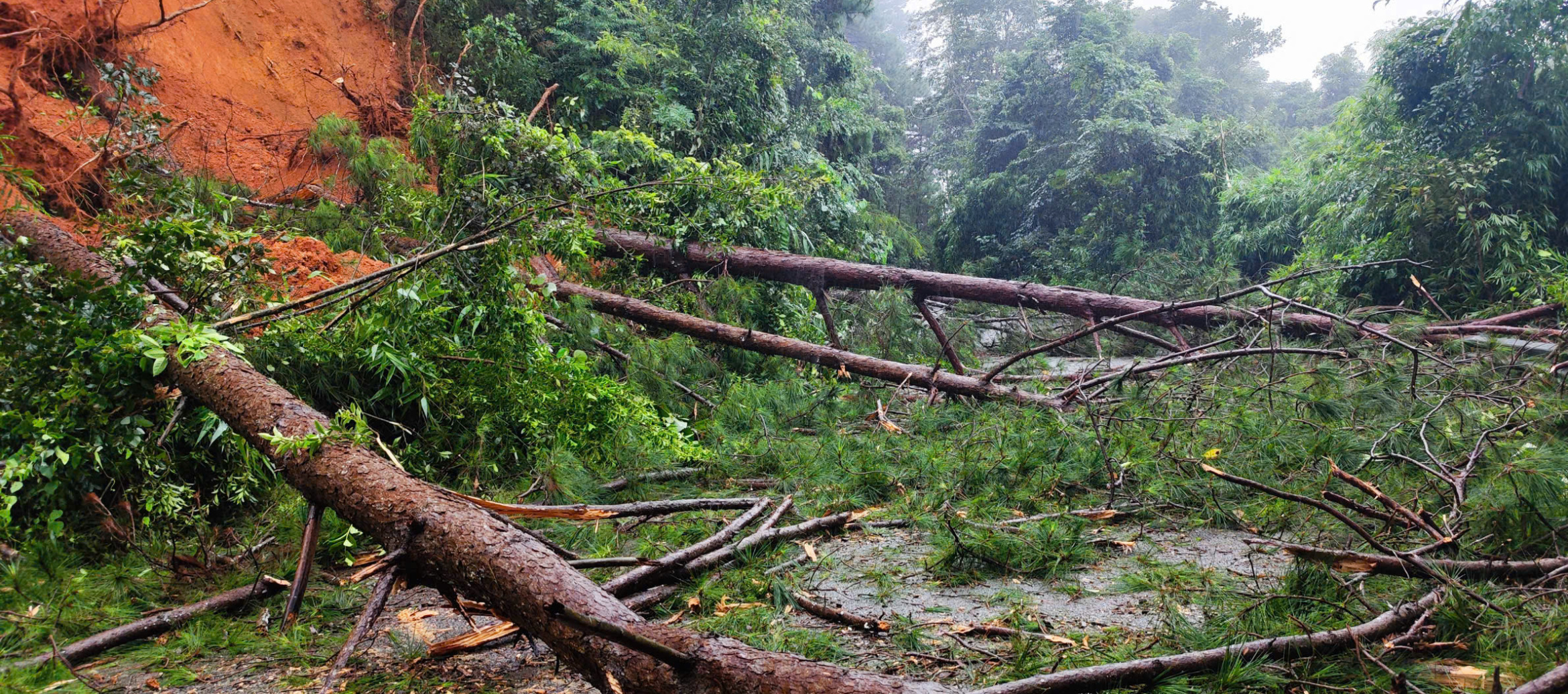 国道28号再次发生滑坡,通往大叻的道路这里堵完那里堵